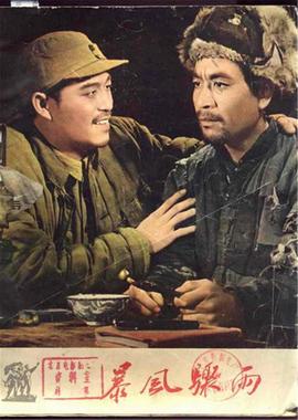 暴风骤雨(全集)