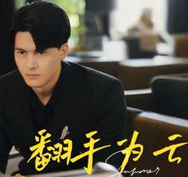 翻手为云短剧 全集(大结局)