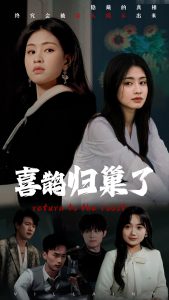 喜鹊归巢了 全集(大结局)