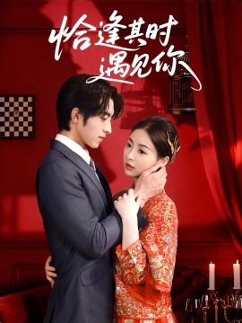 恰逢其时遇见你(全集)