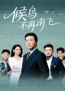 候鸟不再南飞(全集)